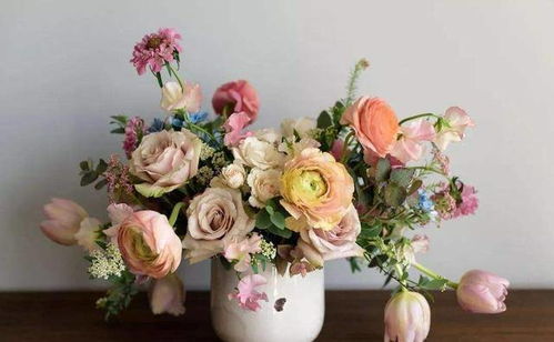 年關(guān)將至，這幾種花卉作為年宵花超合適，盆栽插花皆宜