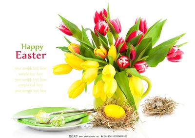 節(jié)慶餐桌上的盛宴 牛肉與鮮花的完美結合