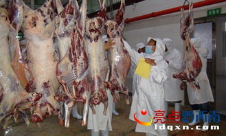 晴隆電力賦能，海權牛肉加工廠奏響品牌發展新篇章